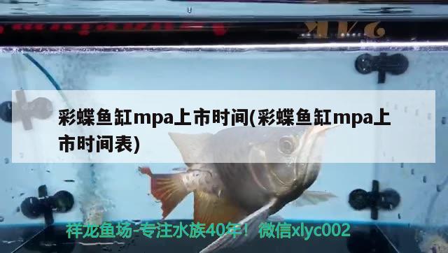 彩蝶魚缸mpa上市時(shí)間(彩蝶魚缸mpa上市時(shí)間表)