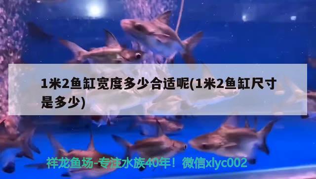 1米2魚缸寬度多少合適呢(1米2魚缸尺寸是多少) 觀賞魚飼料