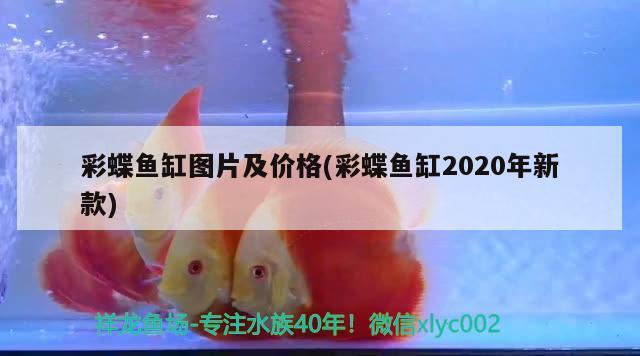 彩蝶魚缸圖片及價(jià)格(彩蝶魚缸2020年新款)