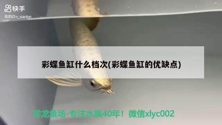 彩蝶魚缸什么檔次(彩蝶魚缸的優(yōu)缺點) 彩鰈魚缸（彩蝶魚缸）