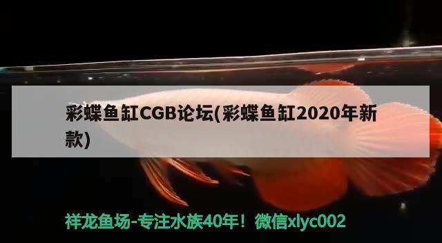 彩蝶魚缸CGB論壇(彩蝶魚缸2020年新款) 彩鰈魚缸（彩蝶魚缸）