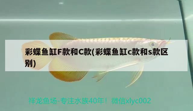 彩蝶魚缸F款和C款(彩蝶魚缸c款和s款區(qū)別) 彩鰈魚缸（彩蝶魚缸）