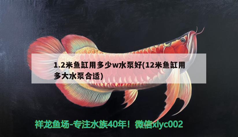 1.2米魚缸用多少w水泵好(12米魚缸用多大水泵合適) 錦鯉魚百科