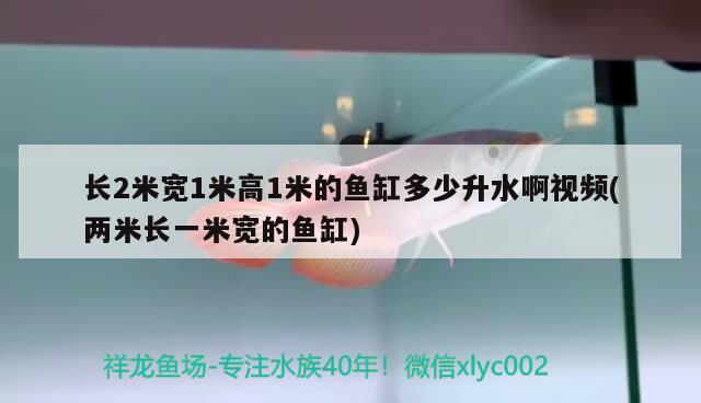 長2米寬1米高1米的魚缸多少升水啊視頻(兩米長一米寬的魚缸) 粗線銀版魚