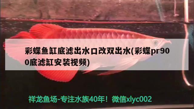 彩蝶魚缸底濾出水口改雙出水(彩蝶pr900底濾缸安裝視頻) 彩鰈魚缸（彩蝶魚缸）