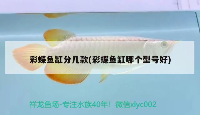 彩蝶魚缸分幾款(彩蝶魚缸哪個型號好) 彩鰈魚缸（彩蝶魚缸）