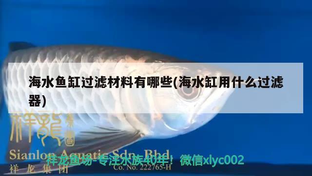 海水魚(yú)缸過(guò)濾材料有哪些(海水缸用什么過(guò)濾器)