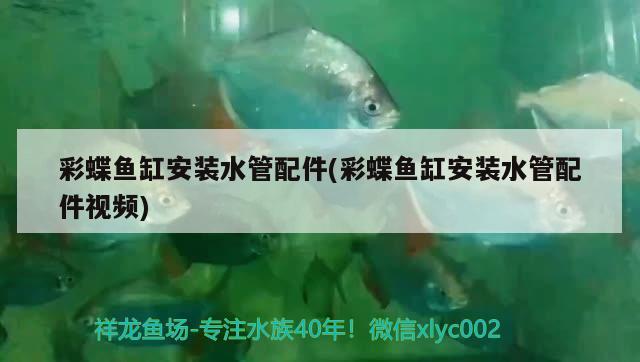 彩蝶魚缸安裝水管配件(彩蝶魚缸安裝水管配件視頻) 彩鰈魚缸（彩蝶魚缸）