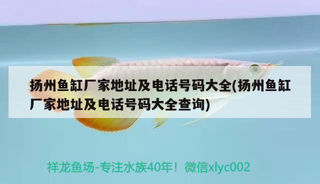 揚(yáng)州魚(yú)缸廠家地址及電話號(hào)碼大全(揚(yáng)州魚(yú)缸廠家地址及電話號(hào)碼大全查詢(xún))