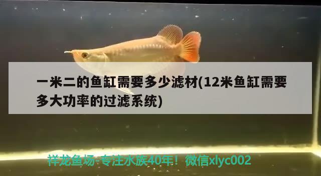 一米二的魚缸需要多少濾材(12米魚缸需要多大功率的過濾系統(tǒng)) 水族燈（魚缸燈）