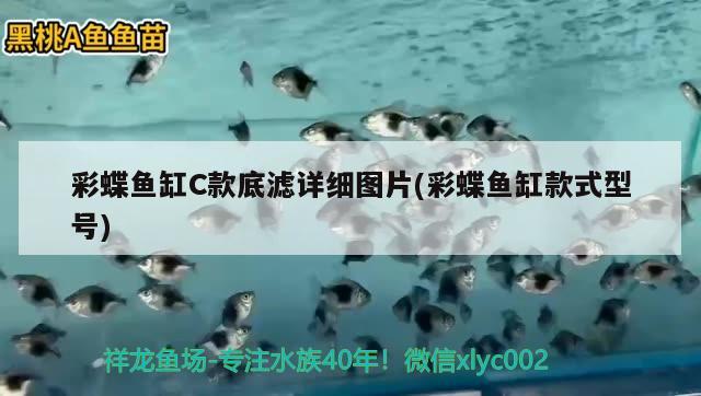 彩蝶魚缸C款底濾詳細圖片(彩蝶魚缸款式型號)