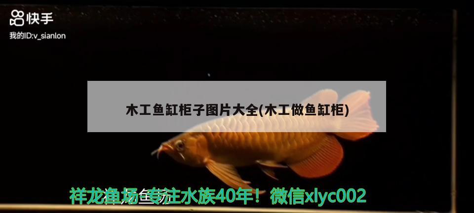 木工魚缸柜子圖片大全(木工做魚缸柜) 彩鰈魚缸（彩蝶魚缸）