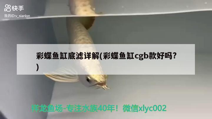 彩蝶魚缸底濾詳解(彩蝶魚缸cgb款好嗎?)