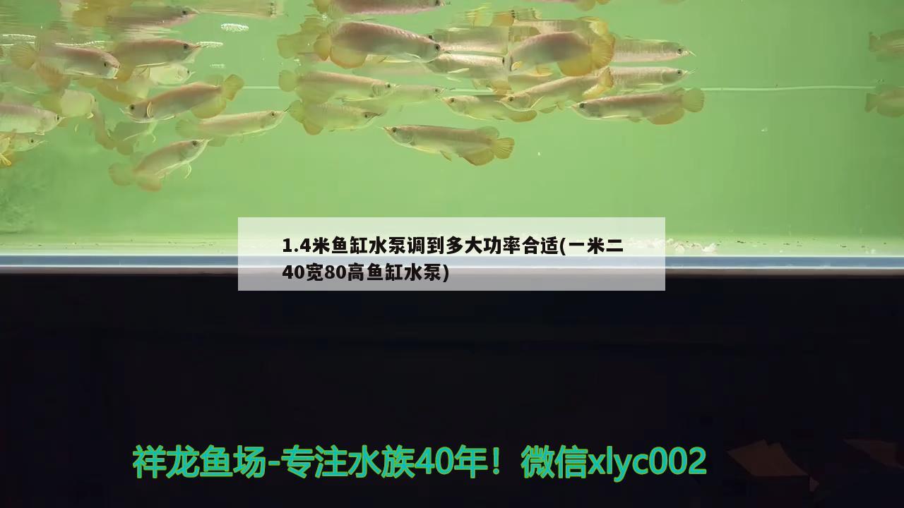 1.4米魚缸水泵調(diào)到多大功率合適(一米二40寬80高魚缸水泵)