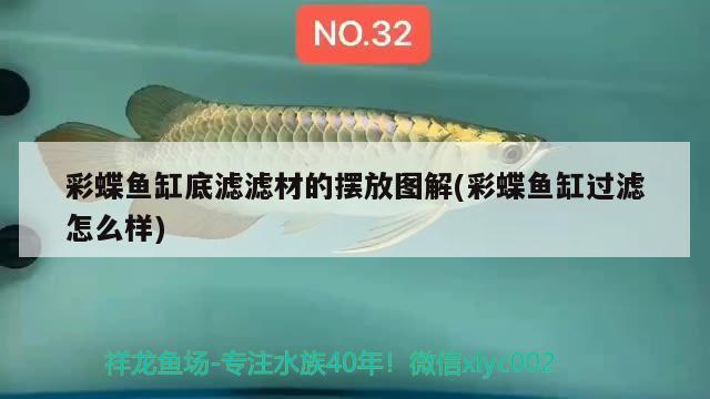 彩蝶魚缸底濾濾材的擺放圖解(彩蝶魚缸過濾怎么樣)