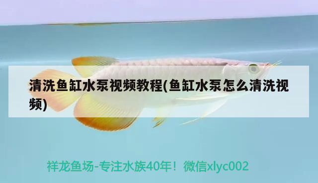 清洗魚缸水泵視頻教程(魚缸水泵怎么清洗視頻) 魚缸水泵