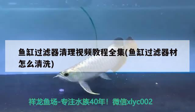 魚缸過濾器清理視頻教程全集(魚缸過濾器材怎么清洗)