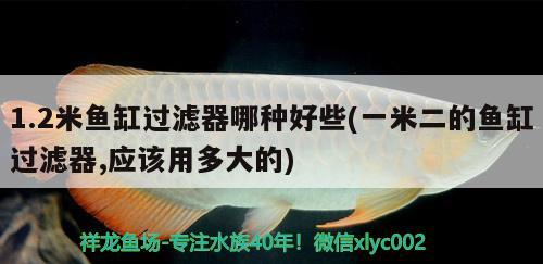 1.2米魚缸過(guò)濾器哪種好些(一米二的魚缸過(guò)濾器,應(yīng)該用多大的) 稀有金龍魚