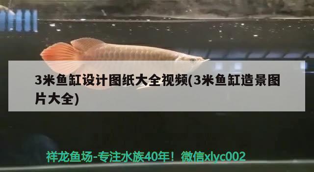 3米魚缸設(shè)計圖紙大全視頻(3米魚缸造景圖片大全)