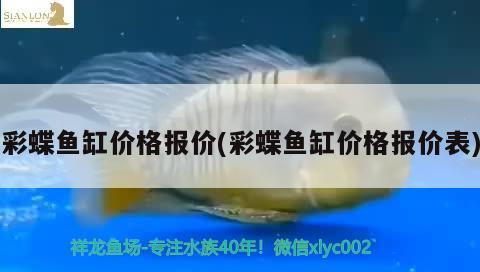 彩蝶魚缸價(jià)格報(bào)價(jià)(彩蝶魚缸價(jià)格報(bào)價(jià)表)