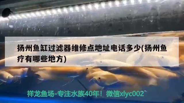 揚州魚缸過濾器維修點地址電話多少(揚州魚療有哪些地方)