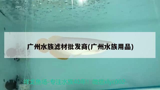 廣州水族濾材批發(fā)商(廣州水族用品)