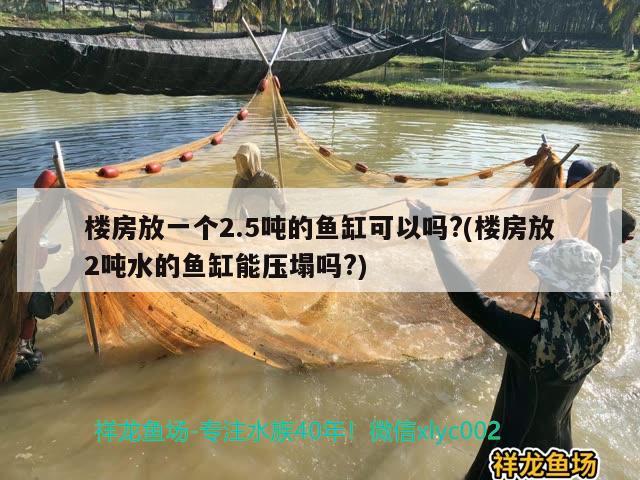 樓房放一個2.5噸的魚缸可以嗎?(樓房放2噸水的魚缸能壓塌嗎?)