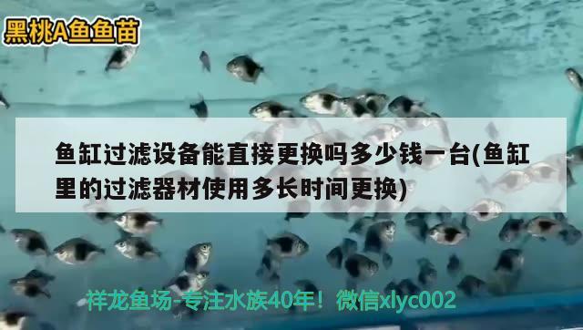 魚缸過濾設(shè)備能直接更換嗎多少錢一臺(tái)(魚缸里的過濾器材使用多長時(shí)間更換)