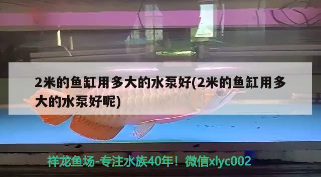 2米的魚缸用多大的水泵好(2米的魚缸用多大的水泵好呢) 虎魚百科