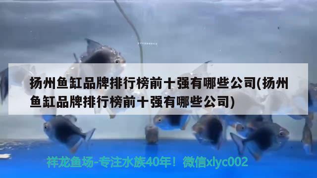 揚州魚缸品牌排行榜前十強有哪些公司(揚州魚缸品牌排行榜前十強有哪些公司)