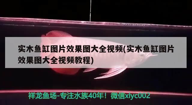 實(shí)木魚缸圖片效果圖大全視頻(實(shí)木魚缸圖片效果圖大全視頻教程) 埃及神仙魚