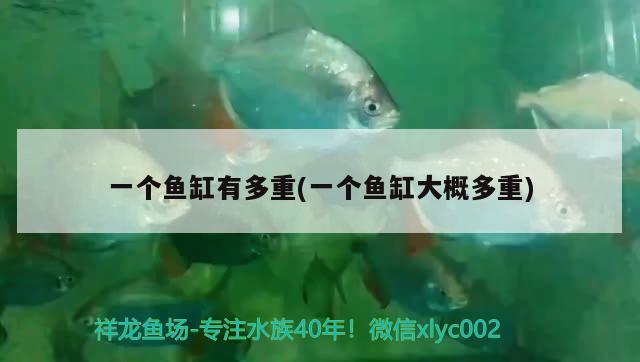 一個(gè)魚(yú)缸有多重(一個(gè)魚(yú)缸大概多重)