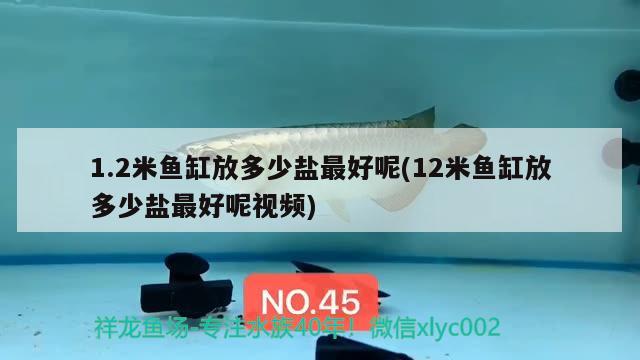 1.2米魚缸放多少鹽最好呢(12米魚缸放多少鹽最好呢視頻)