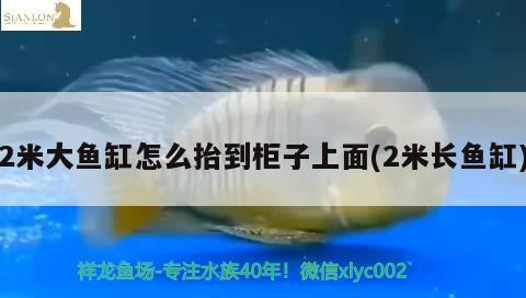 2米大魚缸怎么抬到柜子上面(2米長魚缸)