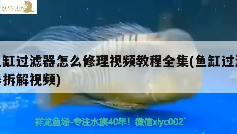 魚缸過濾器怎么修理視頻教程全集(魚缸過濾器拆解視頻)