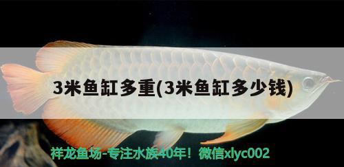 3米魚缸多重(3米魚缸多少錢)