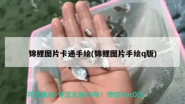 錦鯉圖片卡通手繪(錦鯉圖片手繪q版)