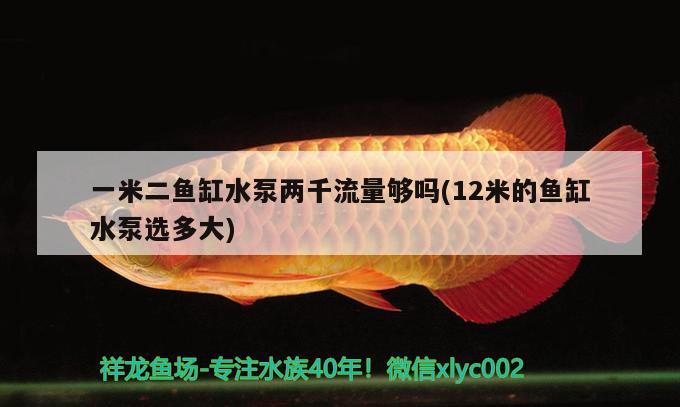 一米二魚缸水泵兩千流量夠嗎(12米的魚缸水泵選多大) 魚缸水泵