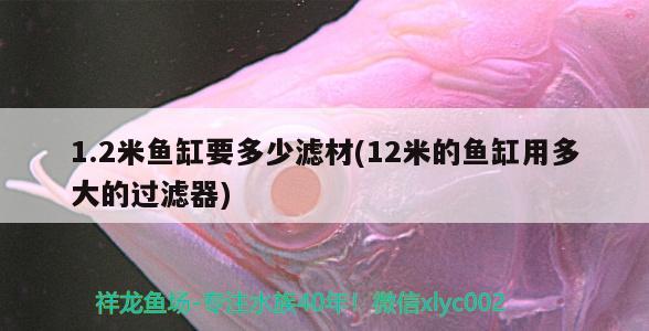 1.2米魚缸要多少濾材(12米的魚缸用多大的過濾器)