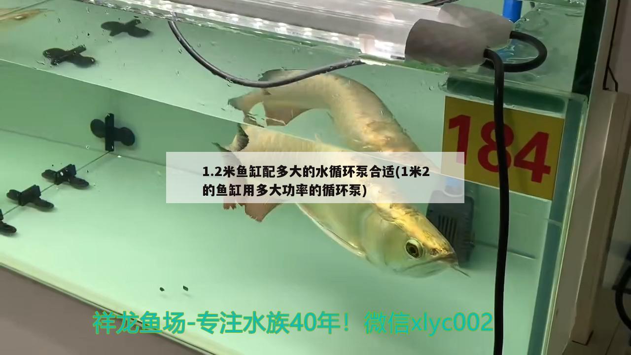 1.2米魚(yú)缸配多大的水循環(huán)泵合適(1米2的魚(yú)缸用多大功率的循環(huán)泵)