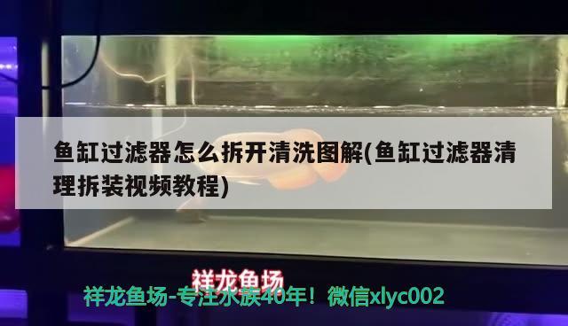 魚缸過濾器怎么拆開清洗圖解(魚缸過濾器清理拆裝視頻教程)