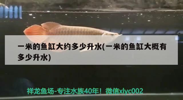 一米的魚(yú)缸大約多少升水(一米的魚(yú)缸大概有多少升水)