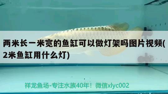 兩米長(zhǎng)一米寬的魚(yú)缸可以做燈架嗎圖片視頻(2米魚(yú)缸用什么燈)