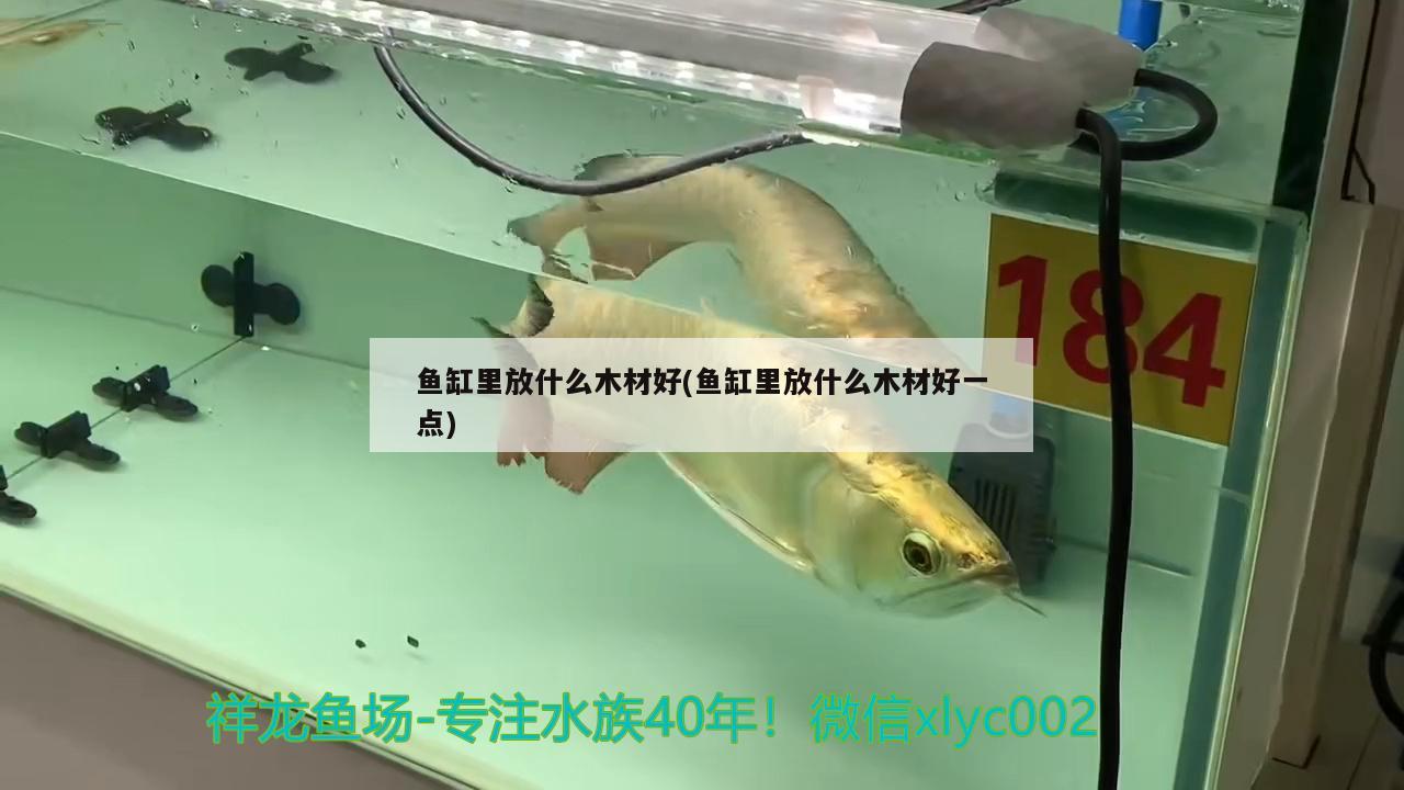 魚缸里放什么木材好(魚缸里放什么木材好一點) 觀賞龜/鱉飼料