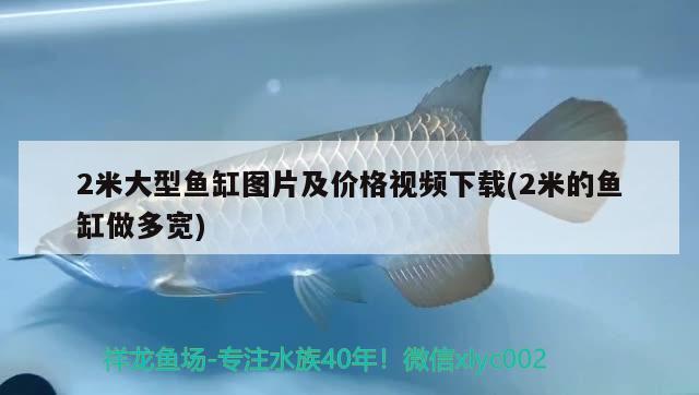 2米大型魚缸圖片及價格視頻下載(2米的魚缸做多寬)