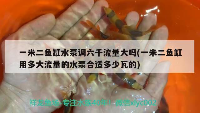 一米二魚缸水泵調(diào)六千流量大嗎(一米二魚缸用多大流量的水泵合適多少瓦的) 魚缸水泵