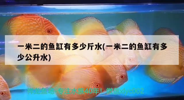 一米二的魚缸有多少斤水(一米二的魚缸有多少公升水)