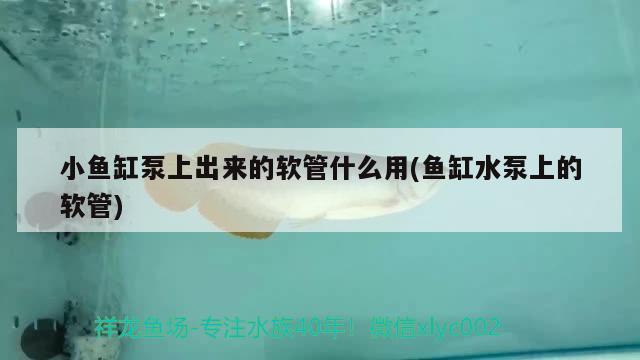 小魚缸泵上出來(lái)的軟管什么用(魚缸水泵上的軟管) 魚缸水泵