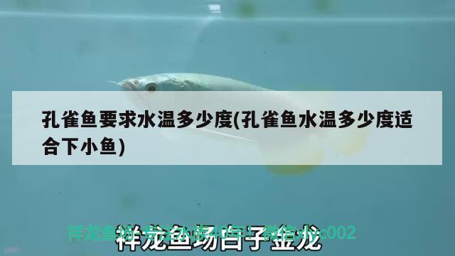 孔雀魚要求水溫多少度(孔雀魚水溫多少度適合下小魚) 觀賞魚