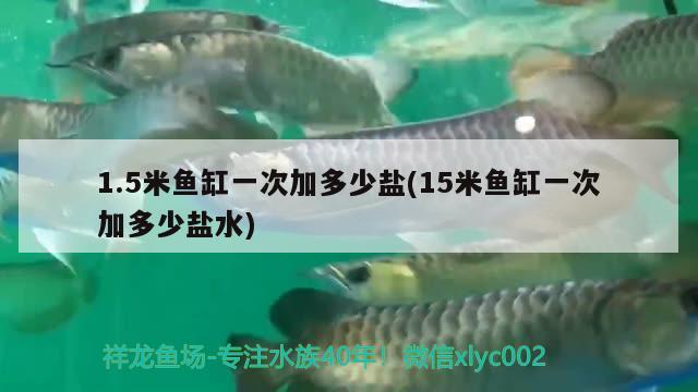 1.5米魚(yú)缸一次加多少鹽(15米魚(yú)缸一次加多少鹽水) 斑馬狗頭魚(yú)